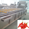 fruit vegetable washer cleaning machine